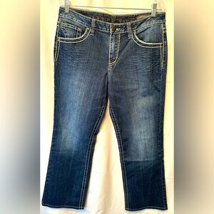 Jag Jeans Mid-Rise Bootleg Stretch Women’s Jeans Size 16 Embroidered Pockets